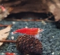 Preview: Super Crystal Red  Santa